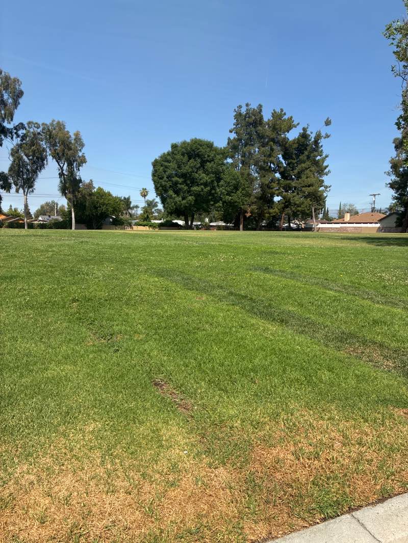 walking near me in Moreno Vista Park in spring