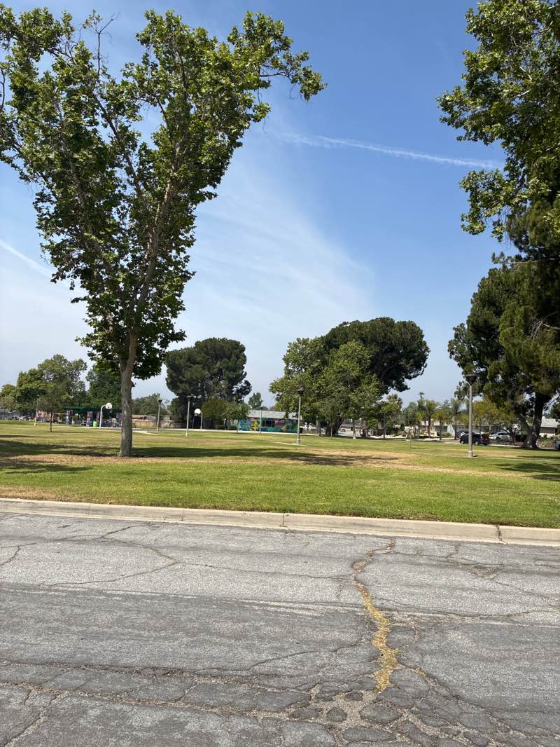 walking near me in Willie White Park in spring