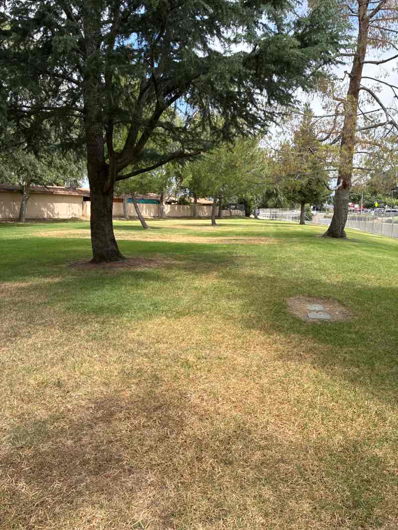 walking near me in James Galanis Park in spring