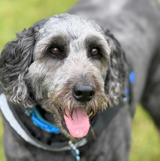 Neil 🇬🇧 profile