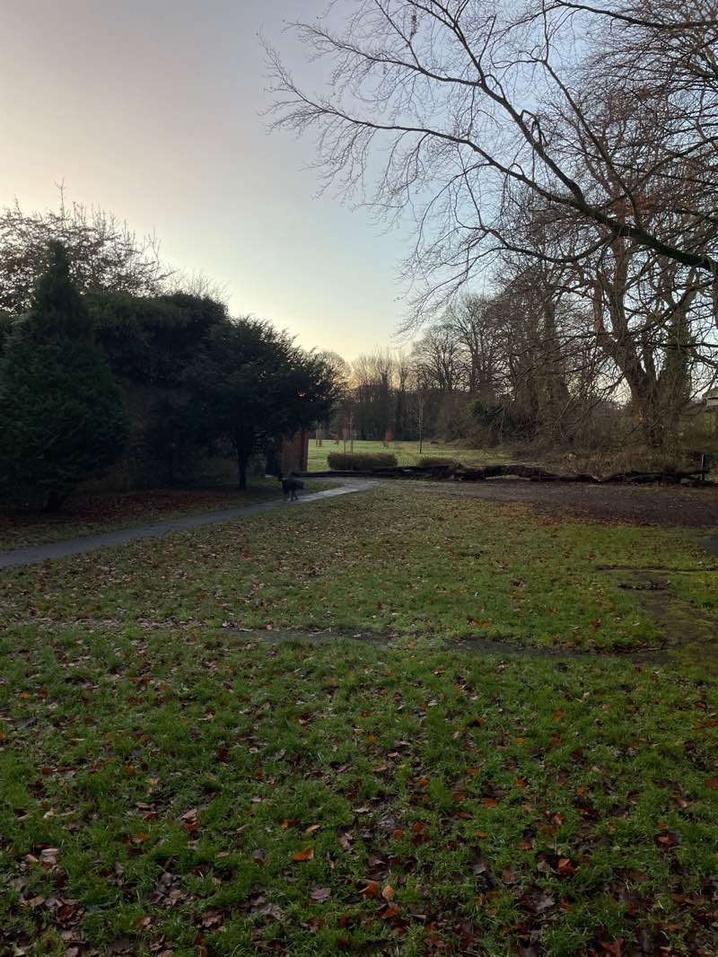 walking near me in Doxford Park in winter