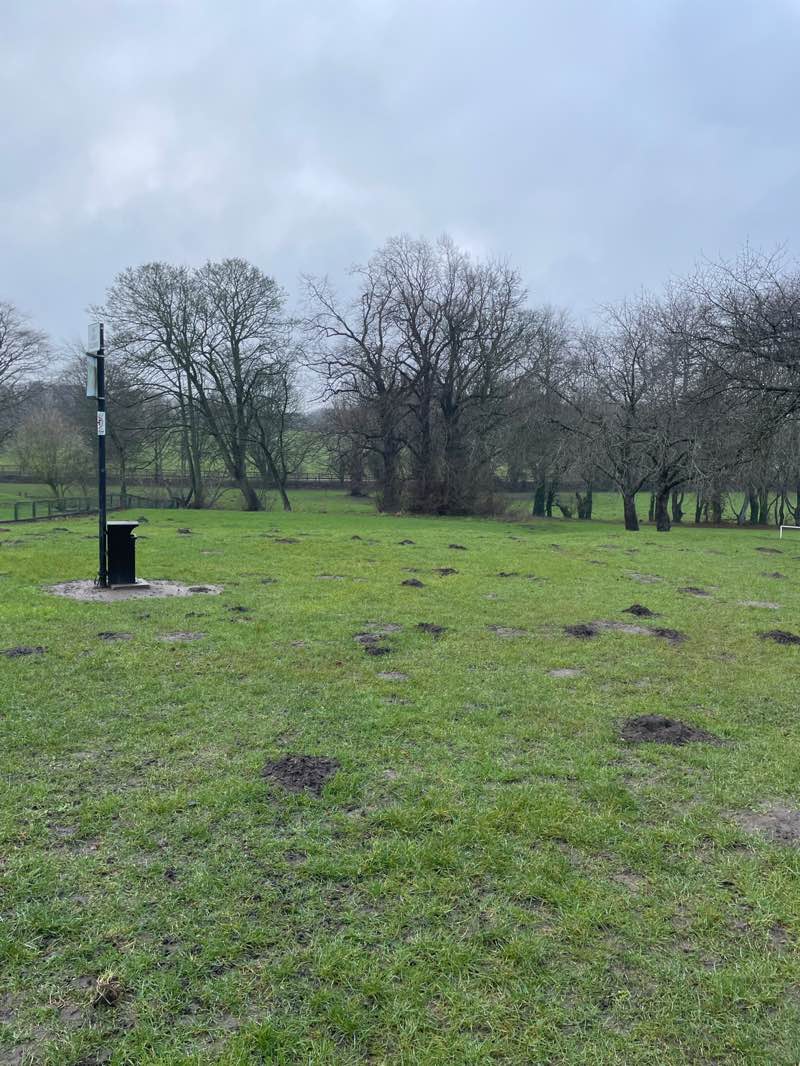 walking near me in Herrington Welfare Park in winter