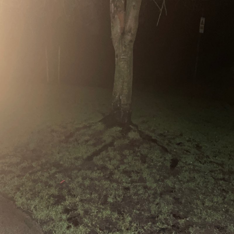 Neil 🇬🇧 post 1