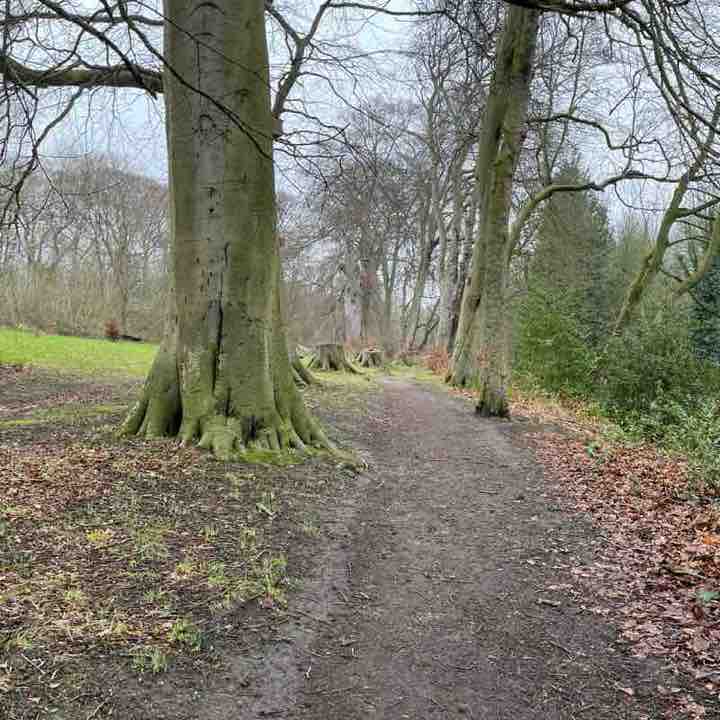 Neil 🇬🇧 post 1