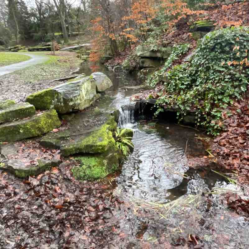 Neil 🇬🇧 post 1