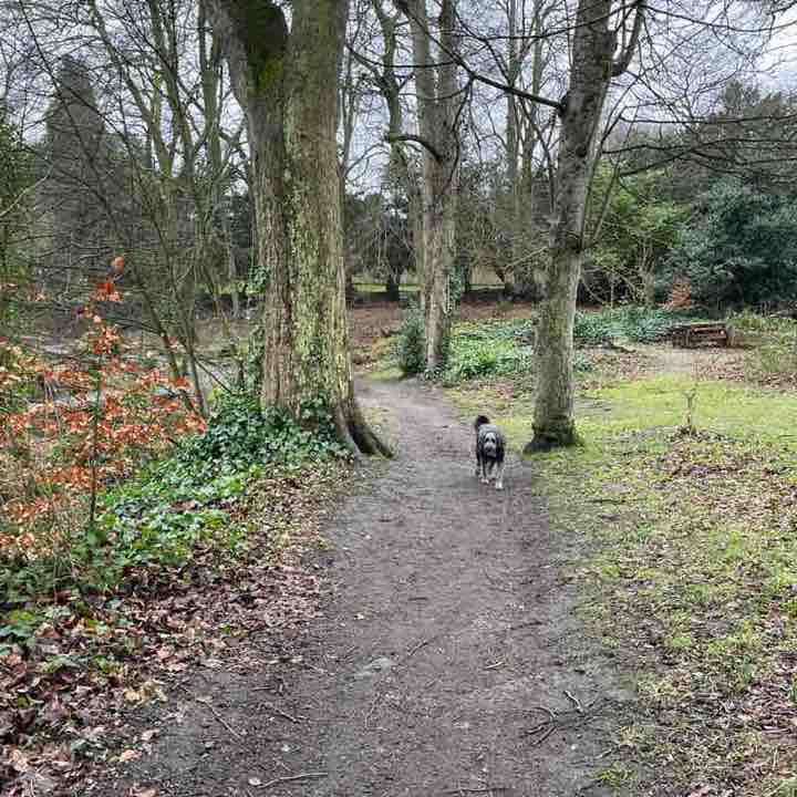 Neil 🇬🇧 post 2