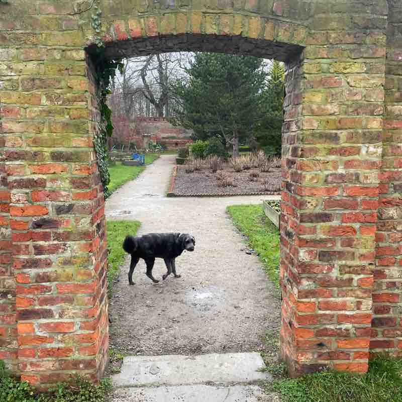 Neil 🇬🇧 post 1