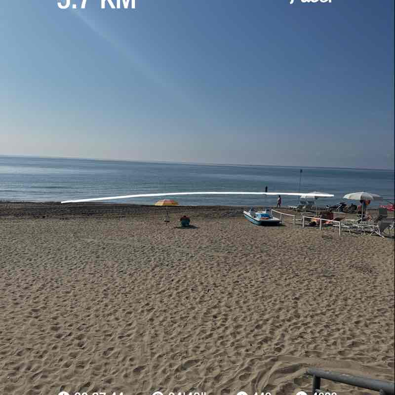 PacerTyp_1976 post 1