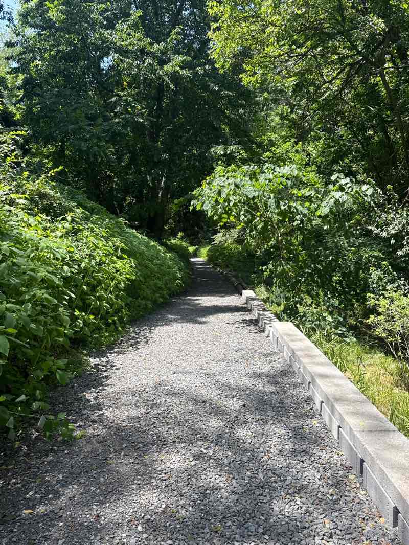 walking near me in Watkins Park in summer