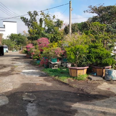 August Group Challenge 紅仕 post image