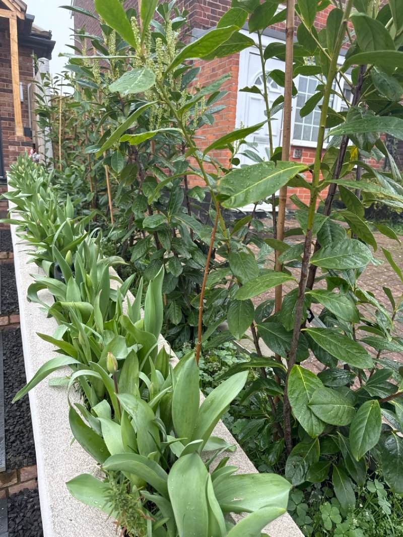 walking near me in Warley Country Park in spring