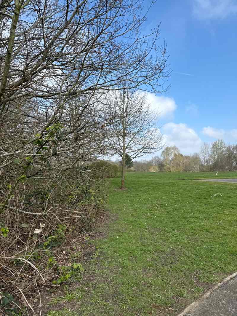 walking near me in Milan Walk Public Park in spring