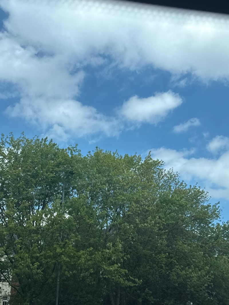 walking near me in Sky Blue Pasture in spring