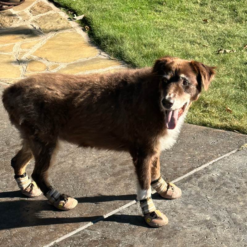 Reba