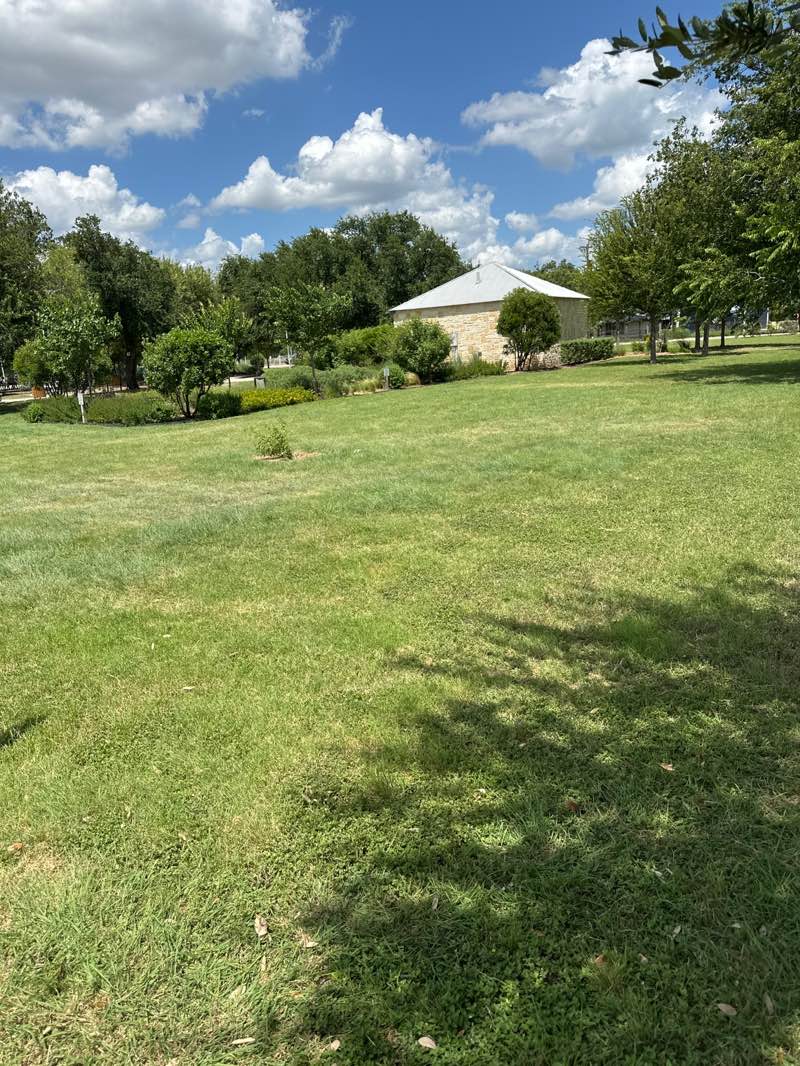 walking near me in Bulverde Community Park in summer