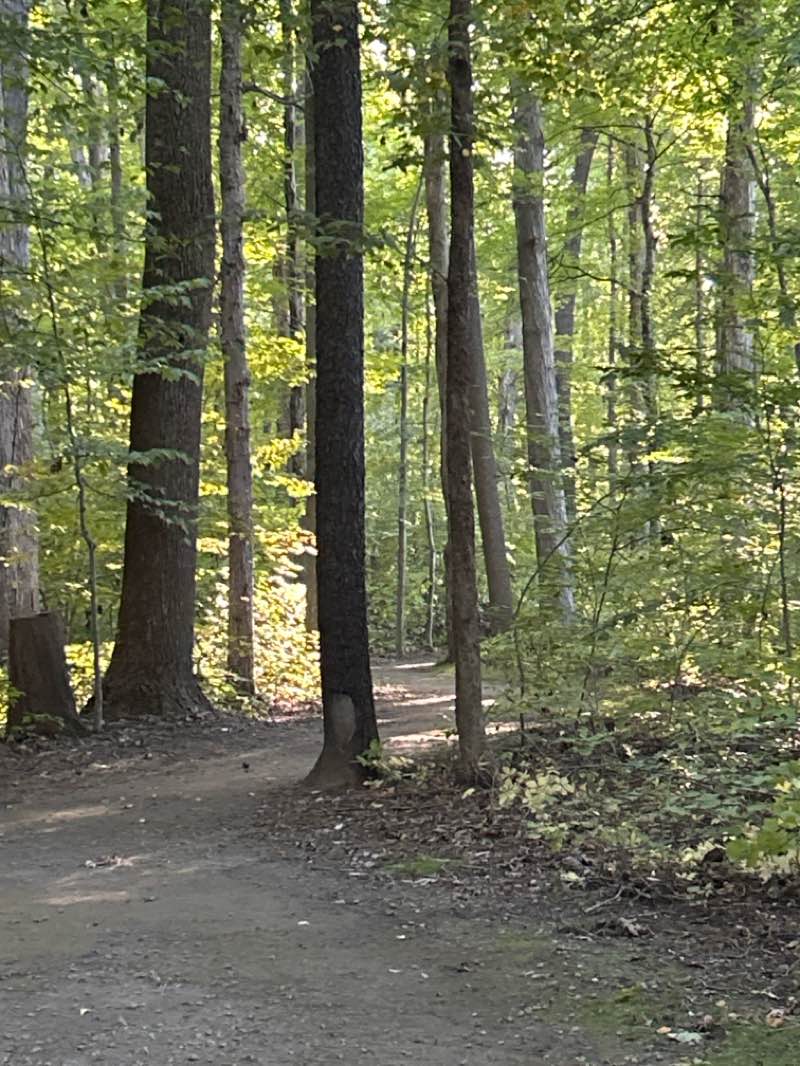 walking near me in Creek Ridge County Park in autumn