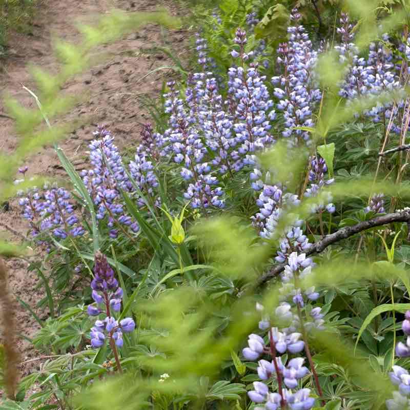 Fishmebaby1968 post 3