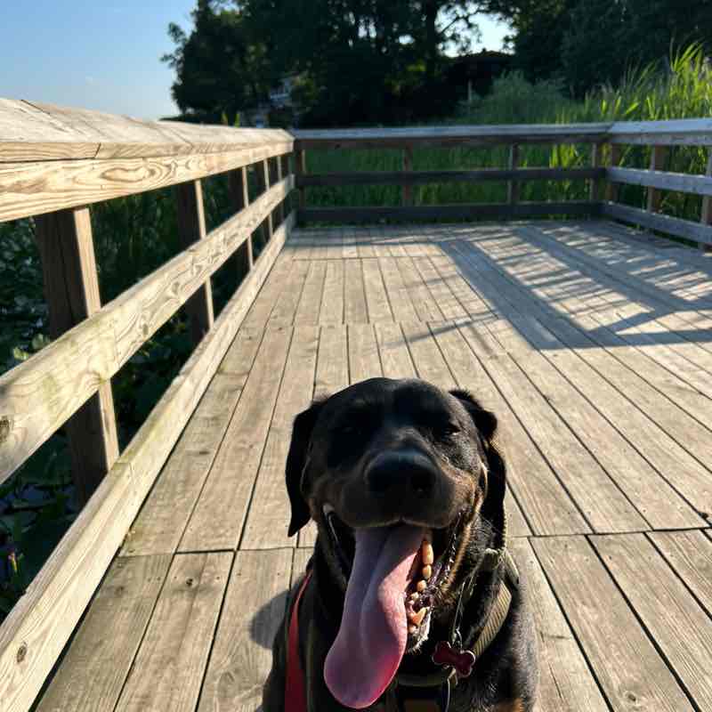 Fishmebaby1968 post 2