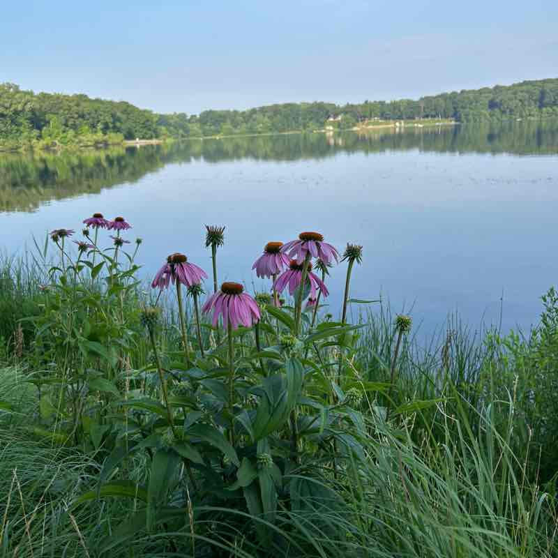 Fishmebaby1968 post 1