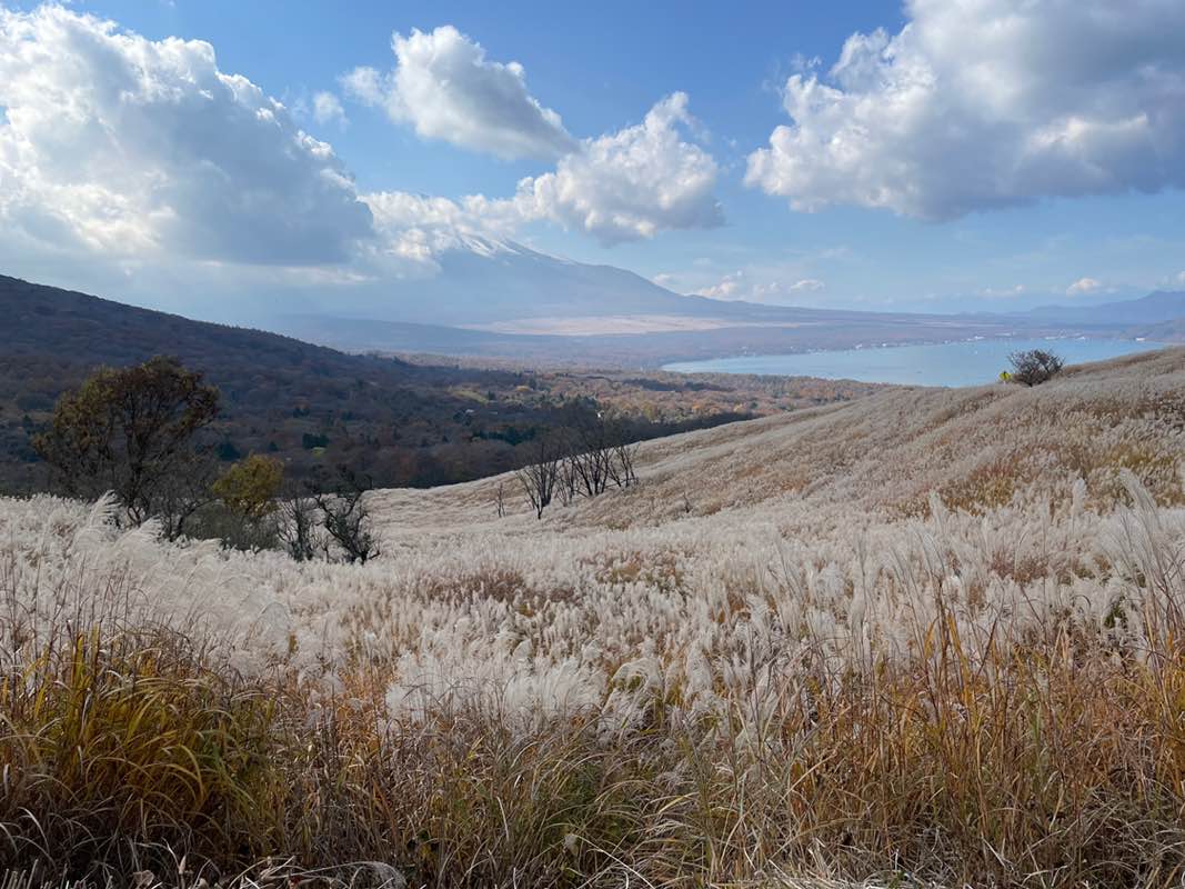 ゆきみ95 ⸜🌷︎⸝‍