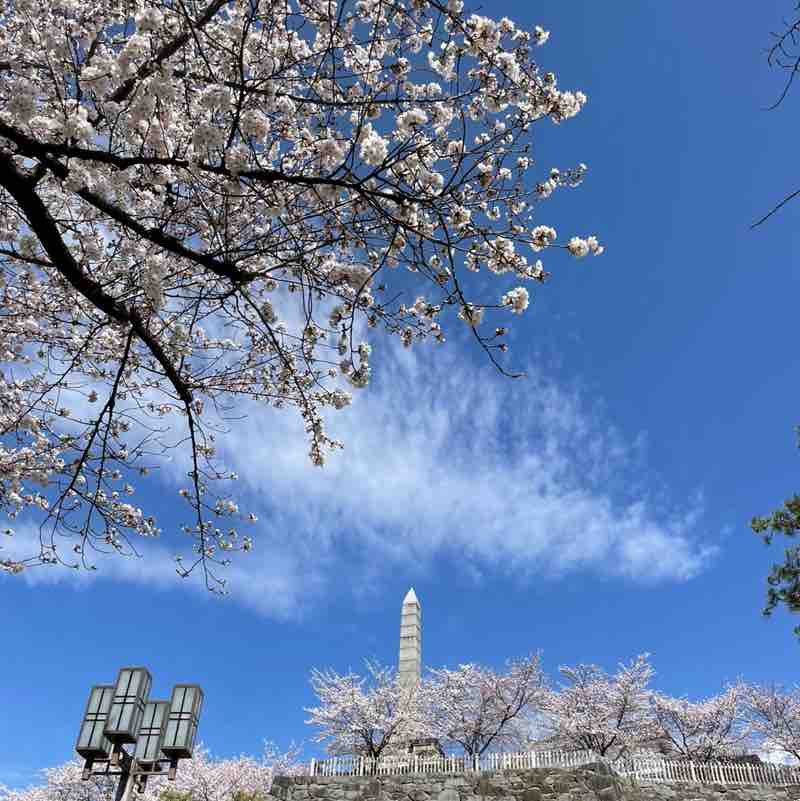 ゆきみ95 ⸜🌷︎⸝‍ post 2