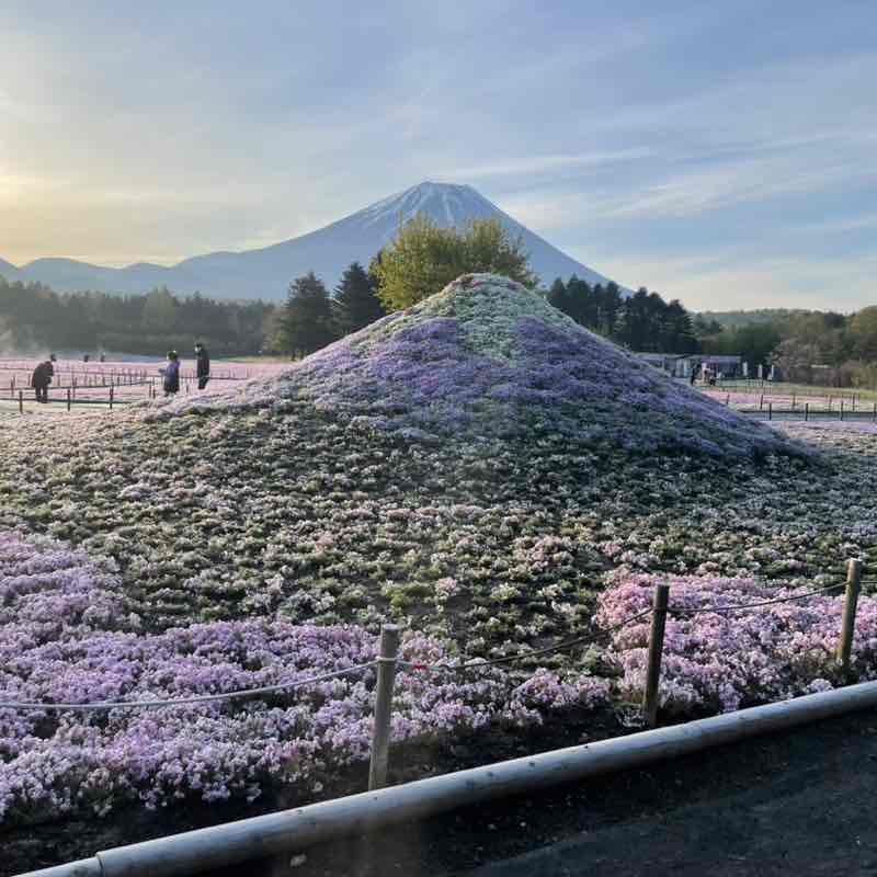 ゆきみ95 ⸜🌷︎⸝‍ post 2