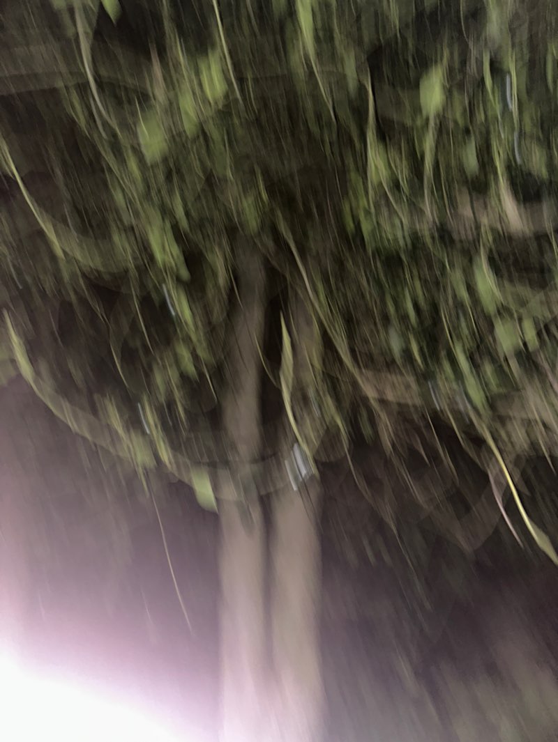 walking near me in Hollydale Recreation Grounds in autumn