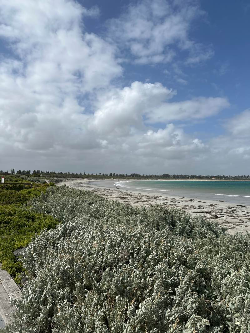 walking near me in Foreshore Trust Grounds in summer