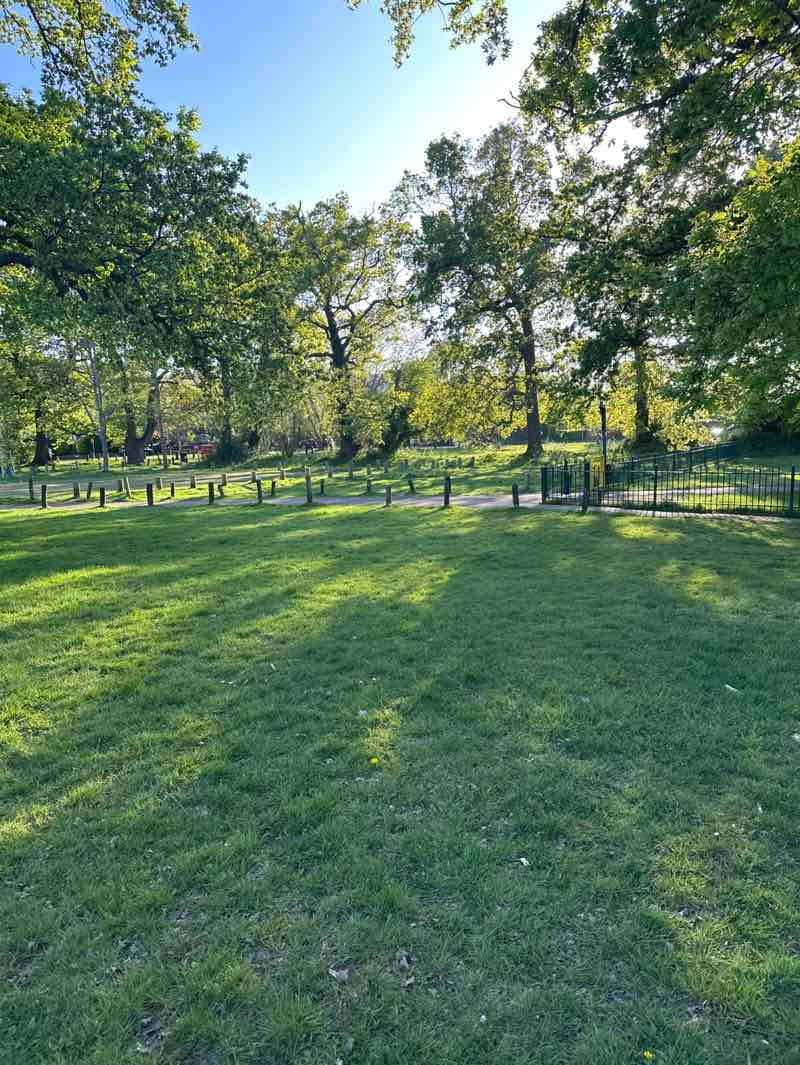 walking near me in Tugmutton Common in spring