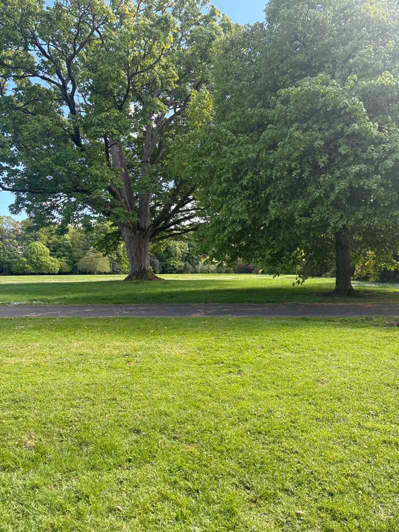walking near me in Rozelle Park in spring