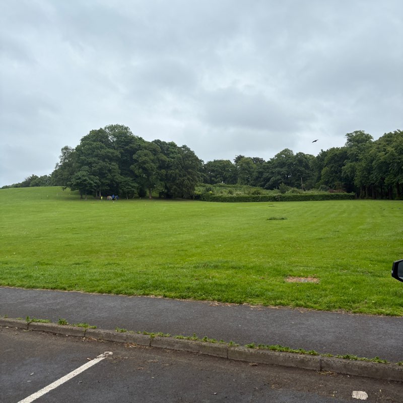 walking near me in Barshaw Park in summer