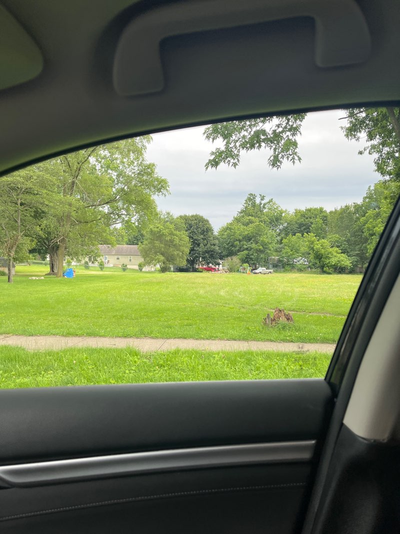 walking near me in Mueler Park in summer
