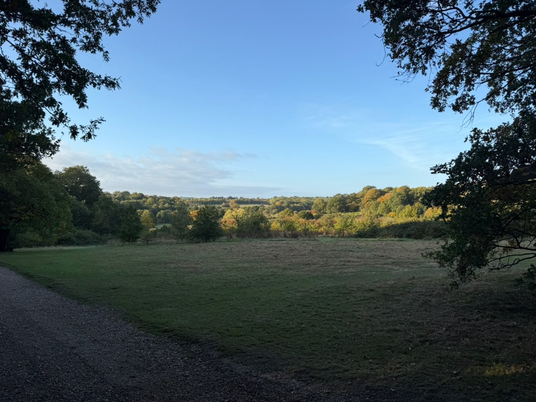 walking near me in Trent Park in autumn