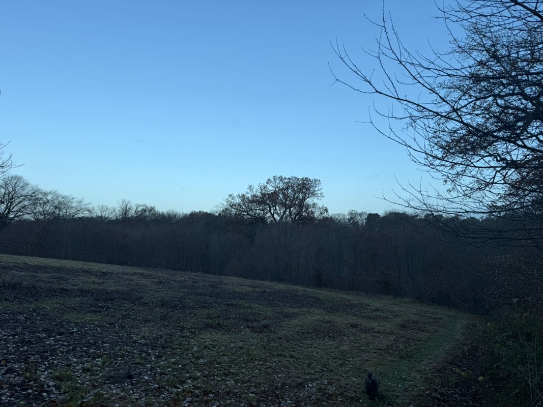 walking near me in Hilly Fields in winter