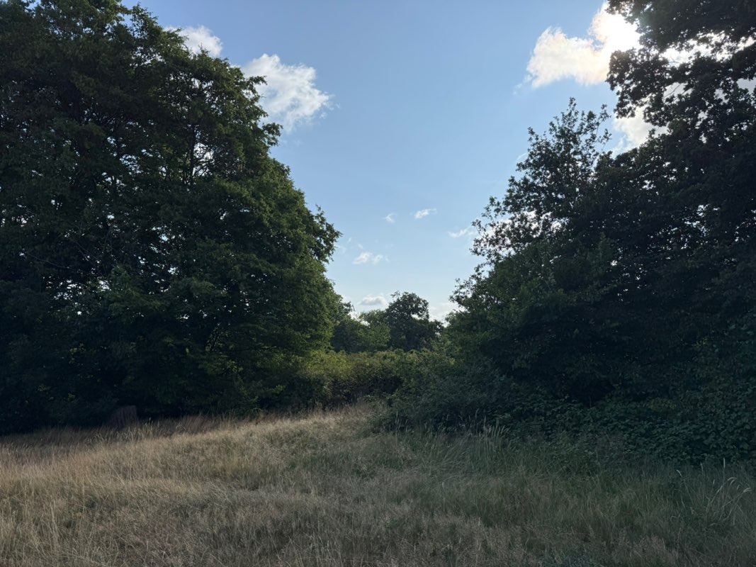 walking near me in Hilly Fields in summer