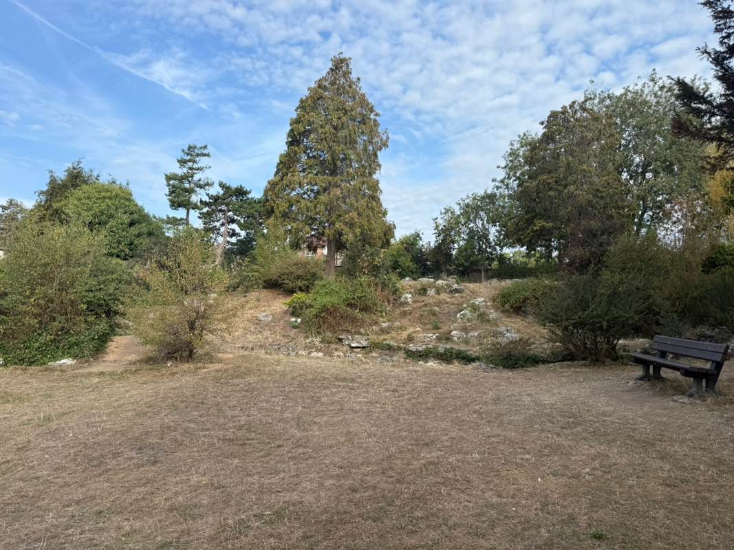 walking near me in Bush Hill Gardens in autumn