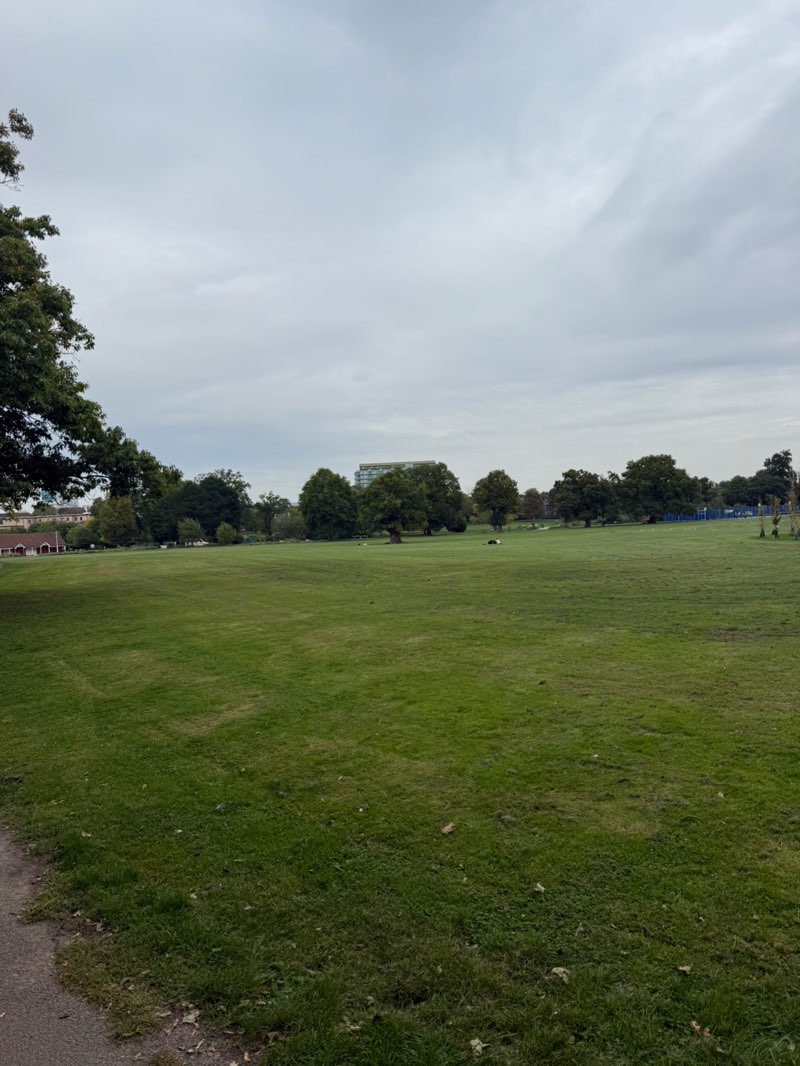 walking near me in Enfield Town Park in autumn