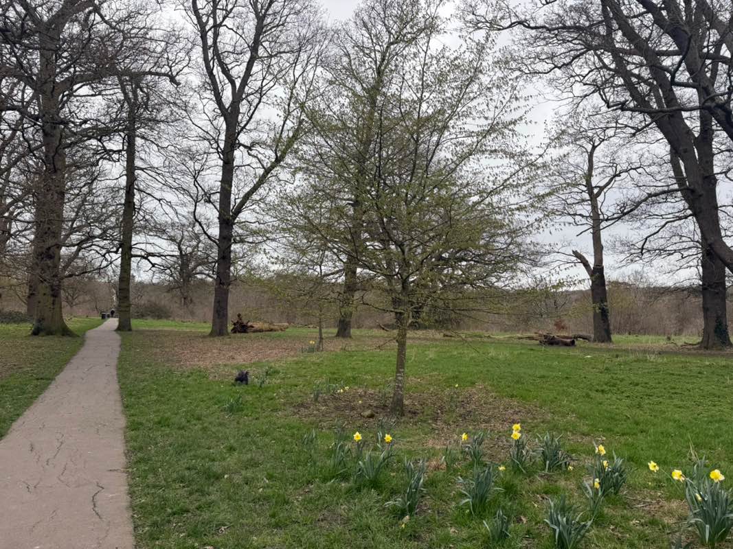 walking near me in Hilly Fields in spring