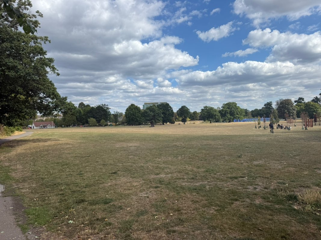 walking near me in Enfield Town Park in autumn