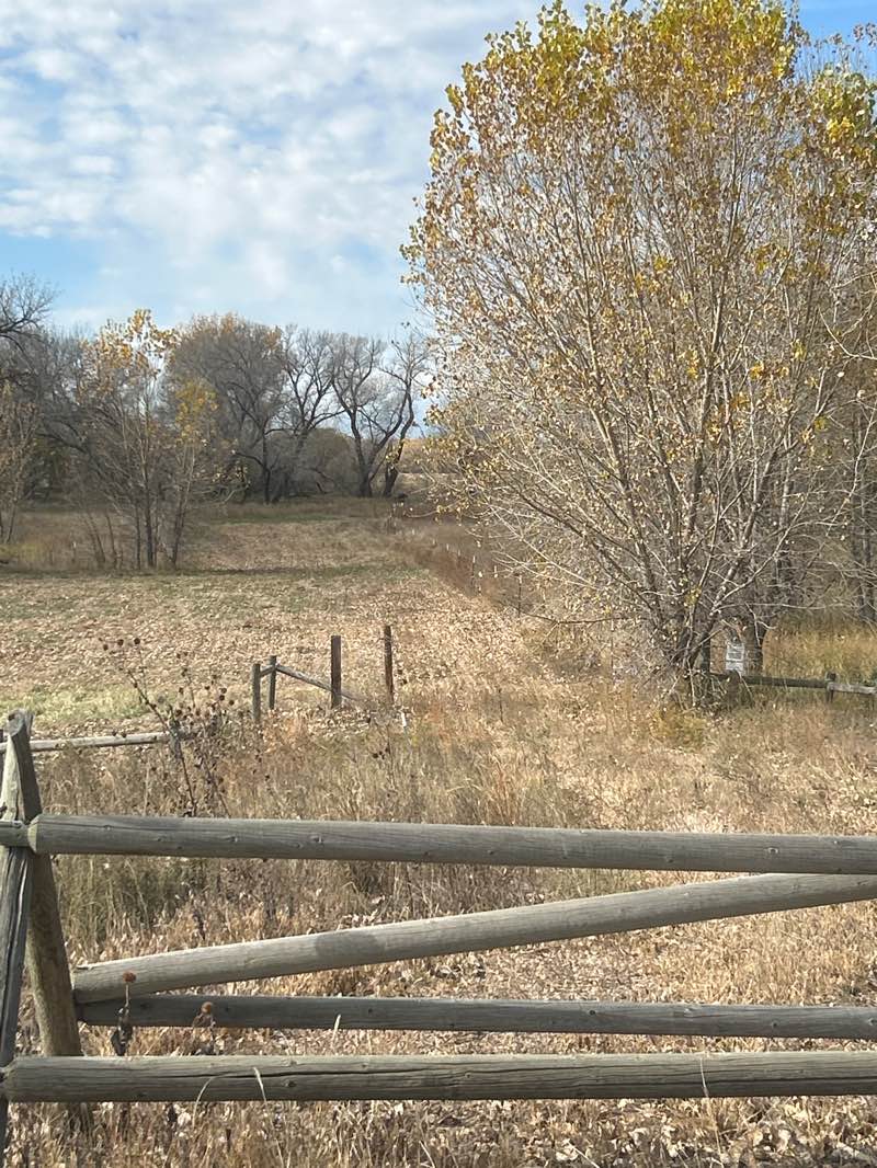 walking near me in Sheep Draw Natural Area in autumn