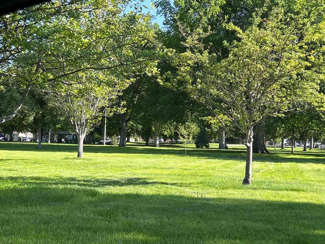 walking near me in Main Park in summer