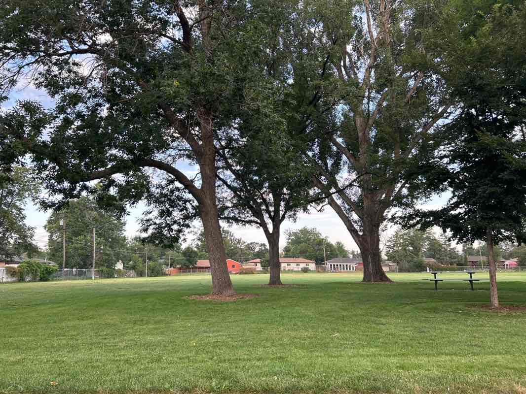 walking near me in Farr Park in autumn