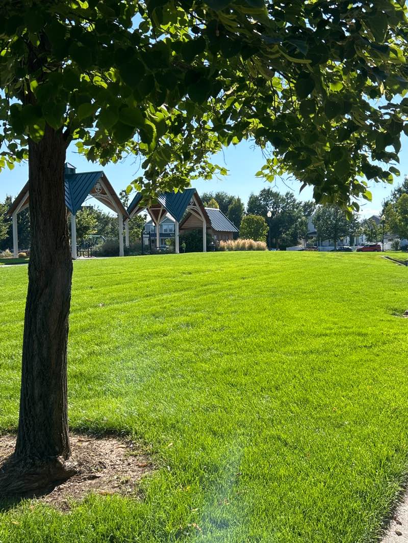 walking near me in Founders Green Park in autumn