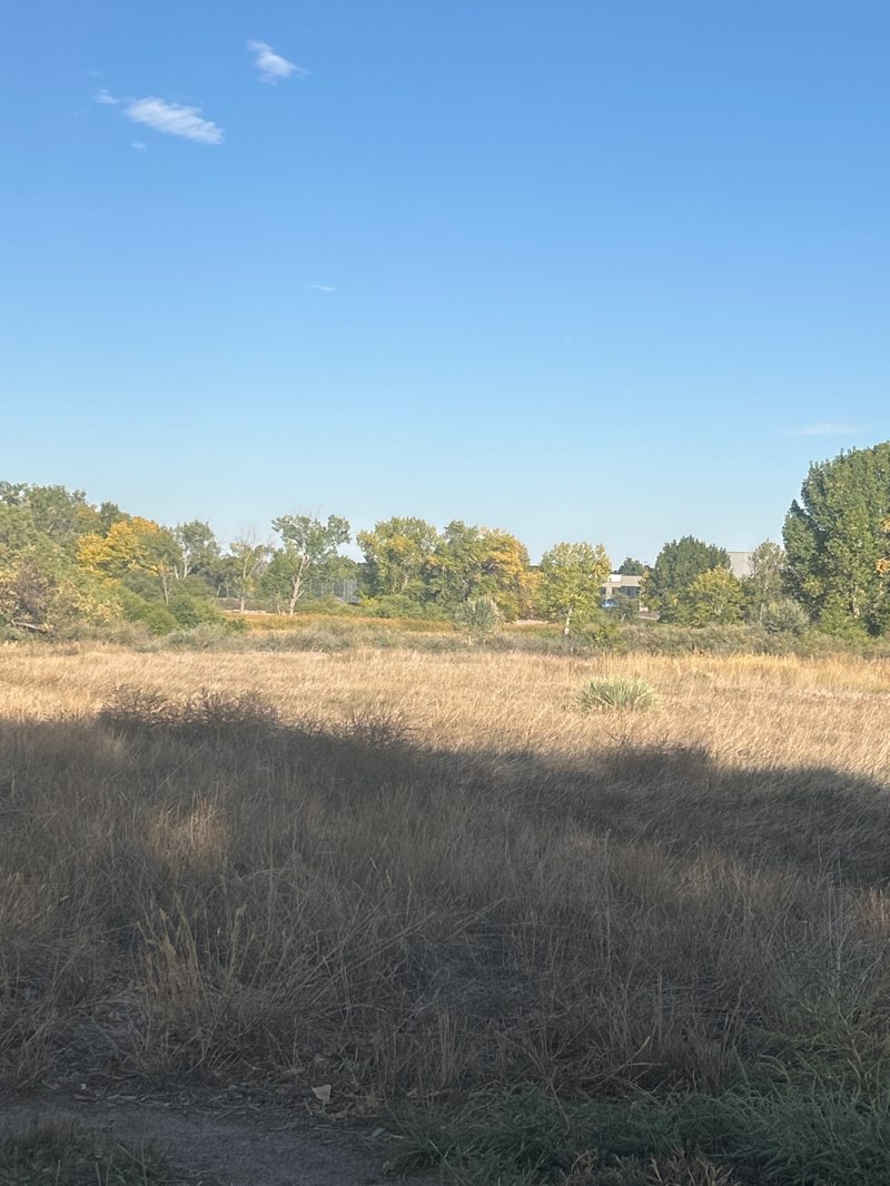 walking near me in Greeley West Park in autumn