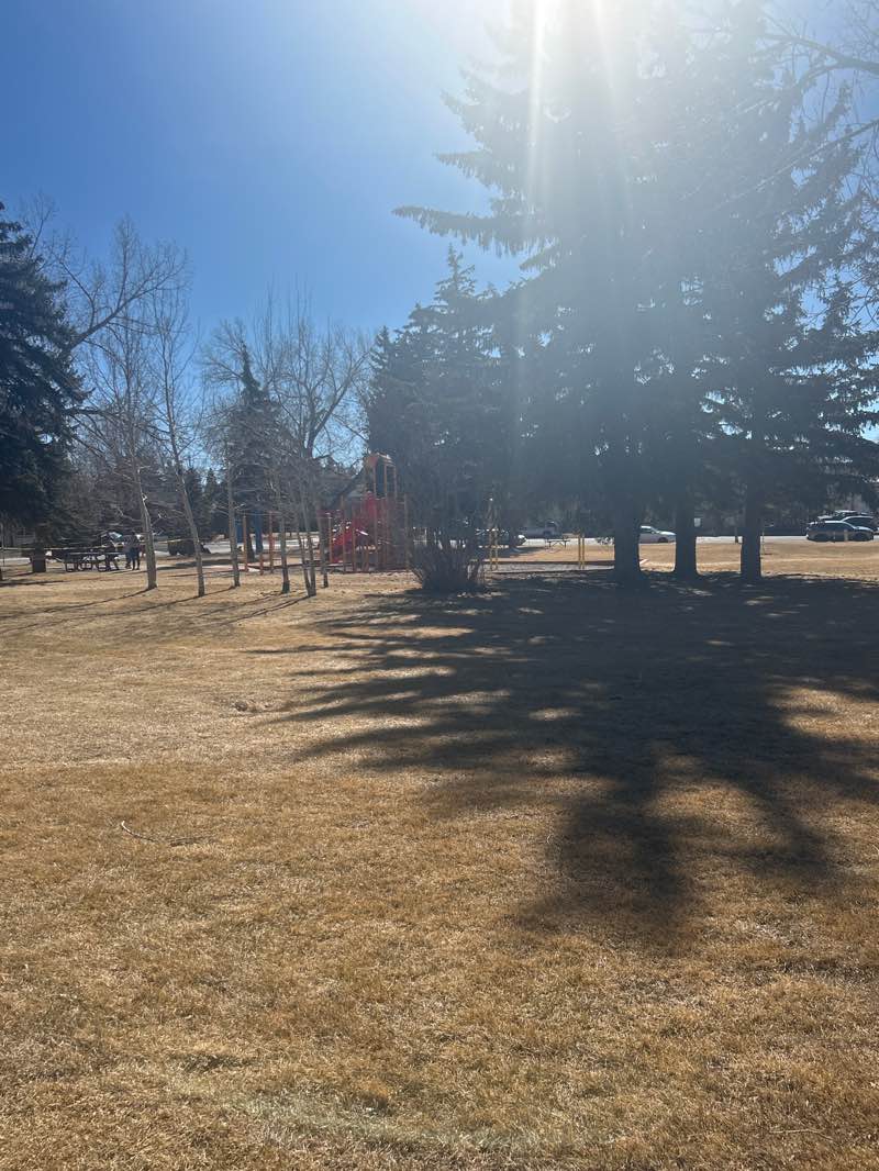 walking near me in Harbon Park in winter
