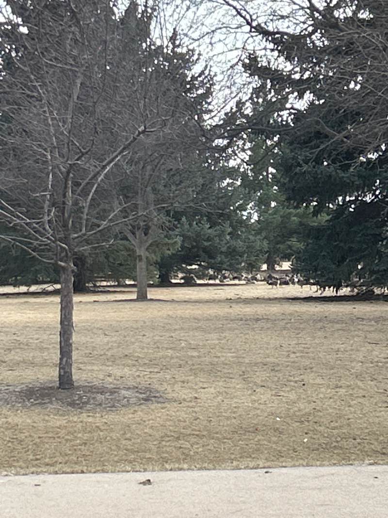 walking near me in Warren Park in spring