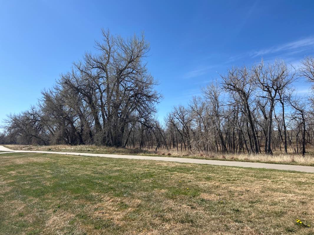 walking near me in Sand Creek Riparian Preserve in spring