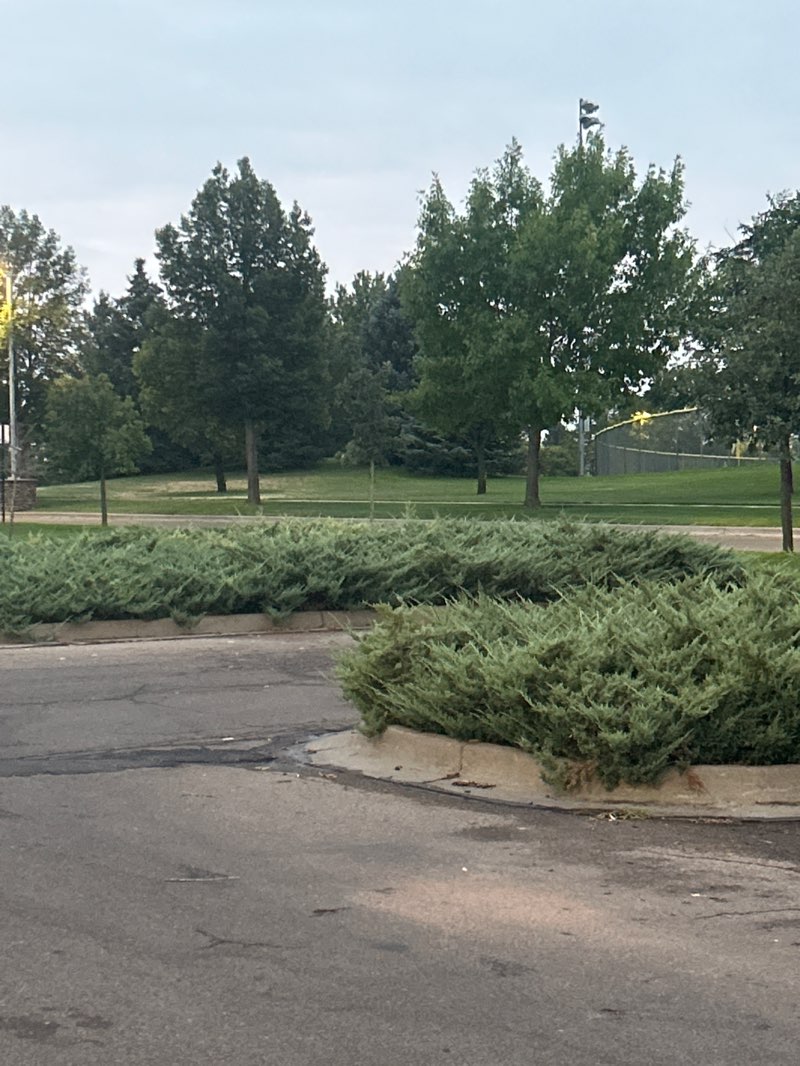 walking near me in Twin Rivers Park in summer