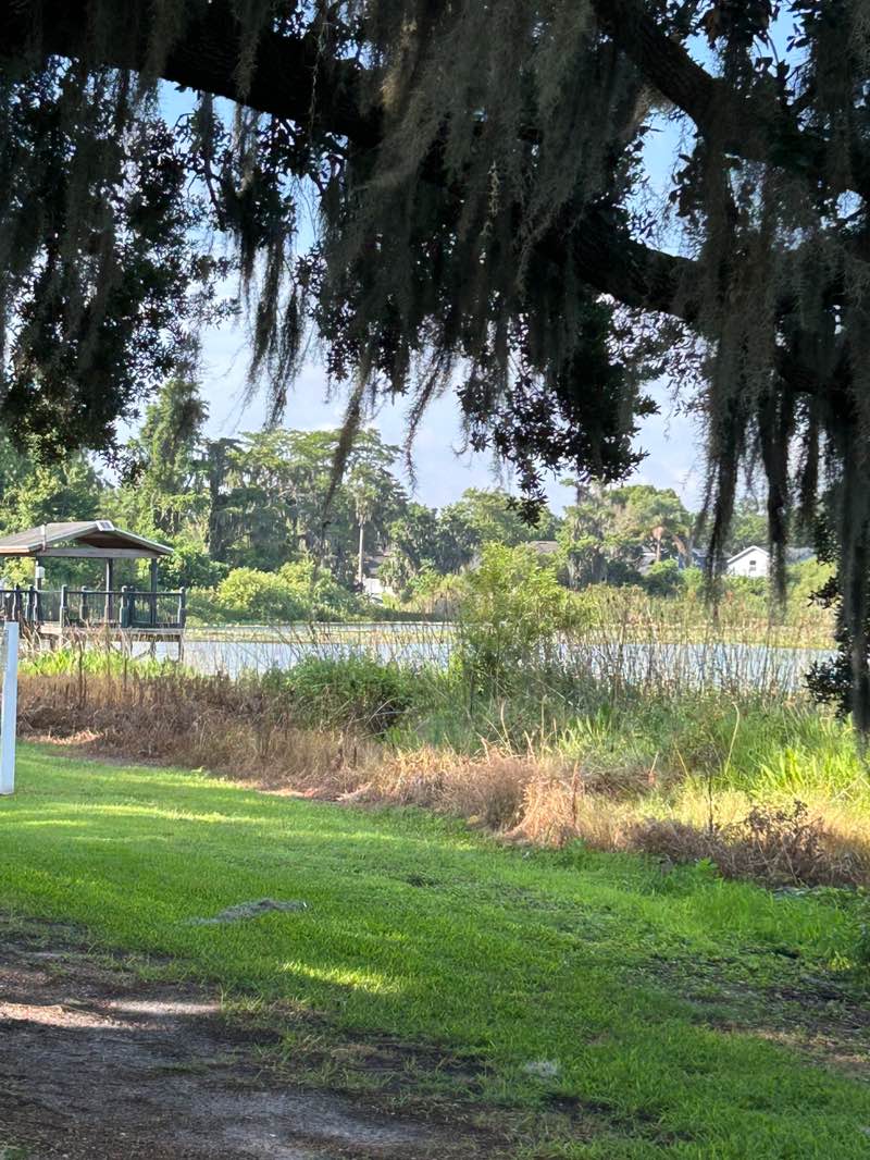 walking near me in Cypress Grove Park in summer