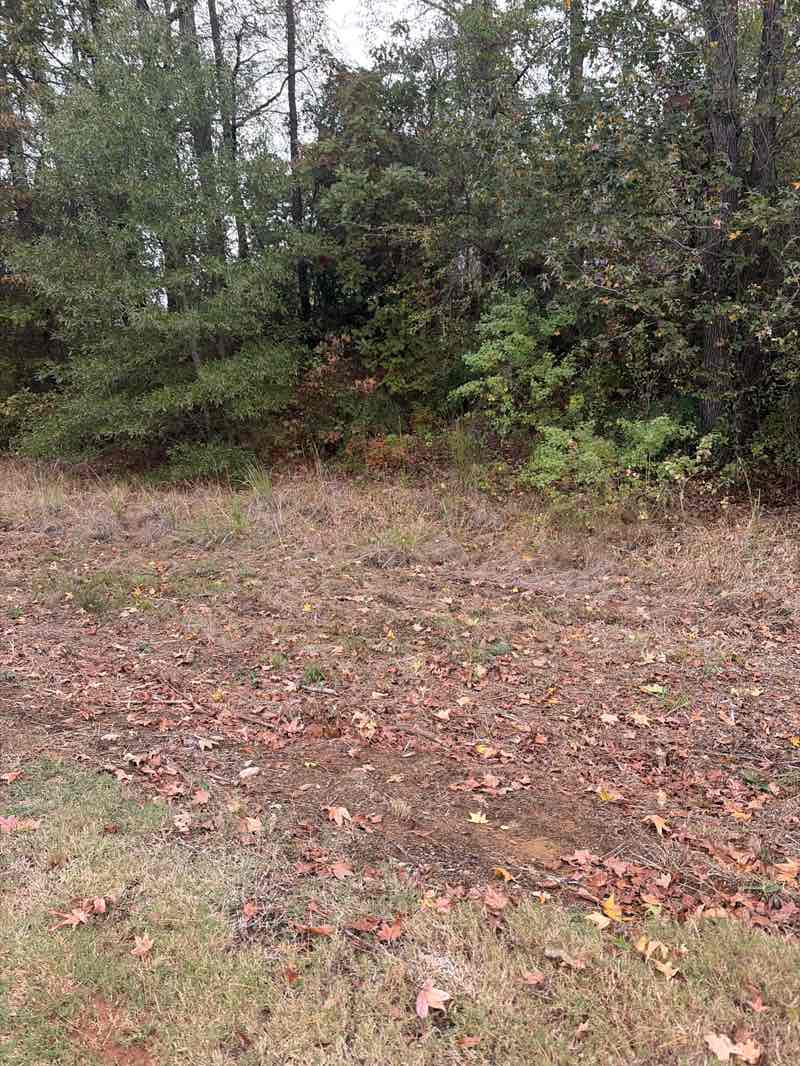 walking near me in Cargill Long Park in autumn